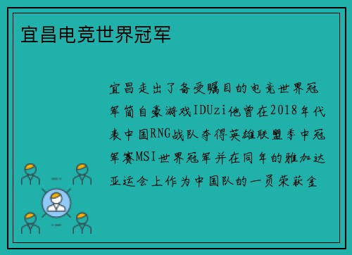 宜昌电竞世界冠军